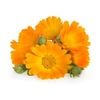 Santo_Volcano_detox_Augusta_02